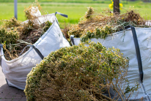 Best Hoarding Cleanup  in Scanlon, MN